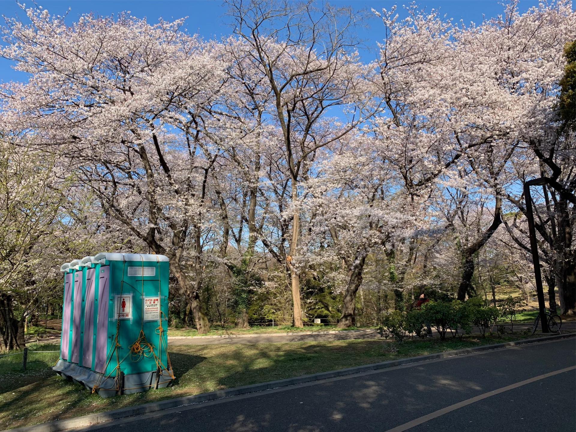 代々木公園の簡易トイレに貼られた告知 ２０１９/０４/０６: GOOD BAD UGLY